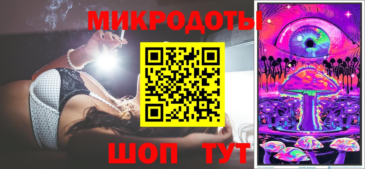 Галлюциногенные грибы Psilocybine cubensis Москва